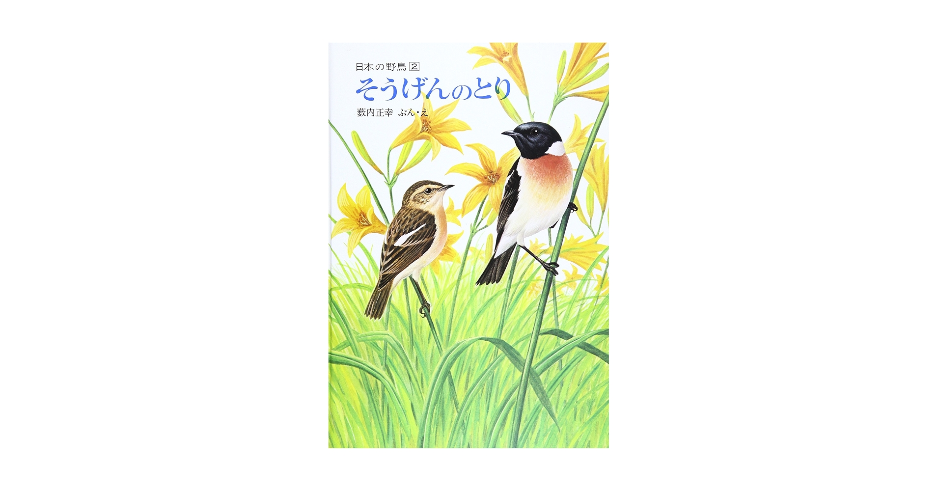 916iD+2FRyL.jpg_BO30,255,255,